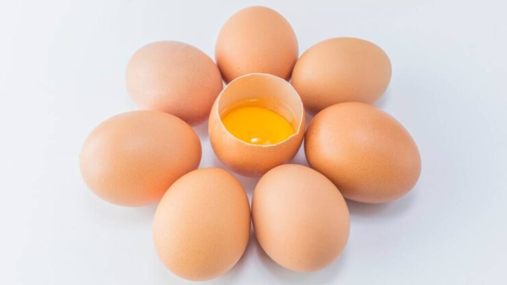 how much protein in 1 egg