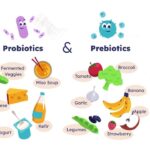 prebiotic vs probiotic