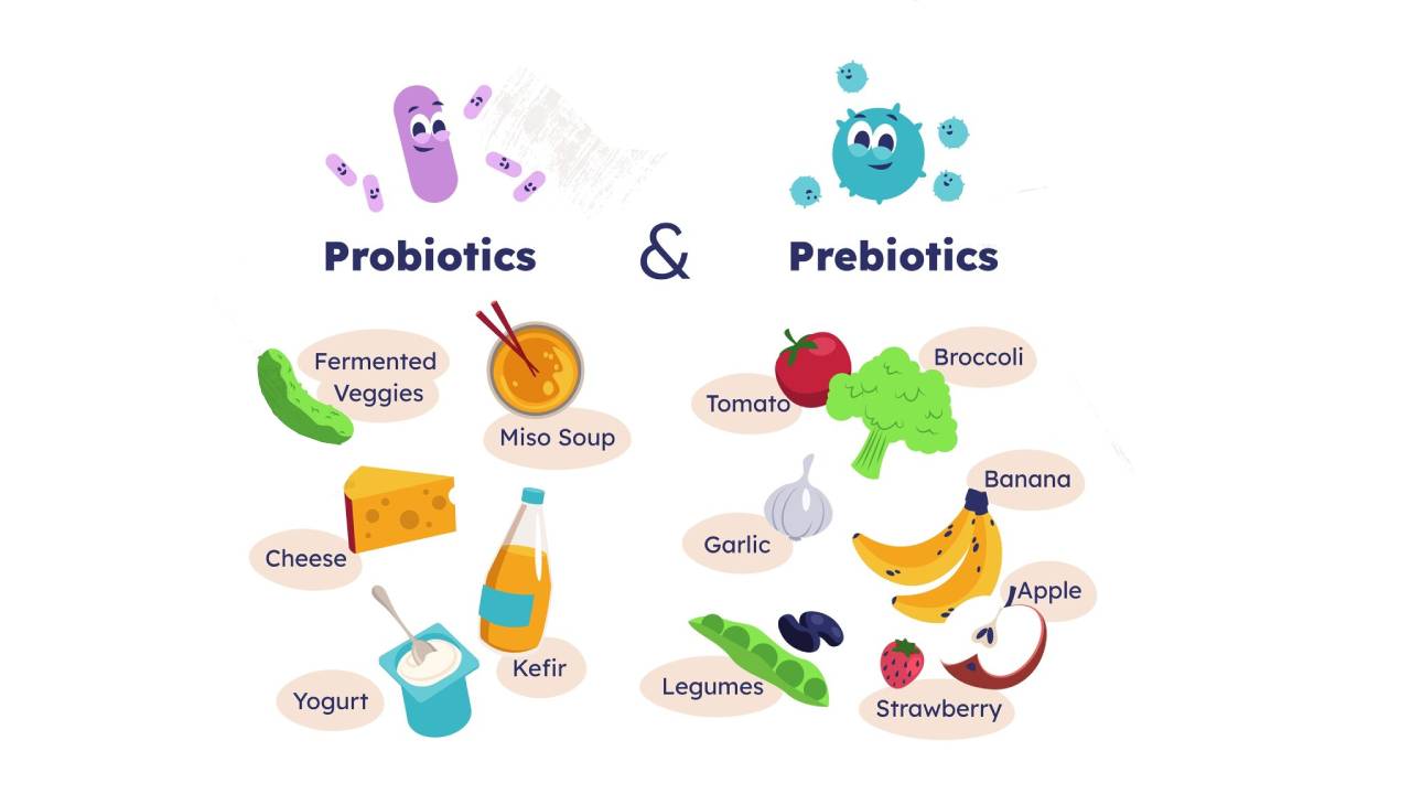 prebiotic vs probiotic