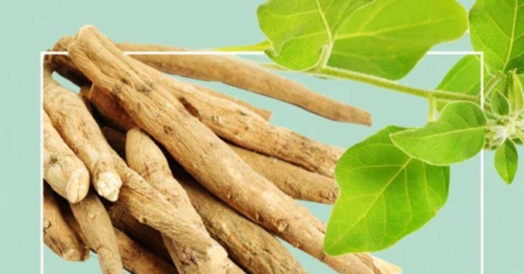 Ashwagandha Benefits
